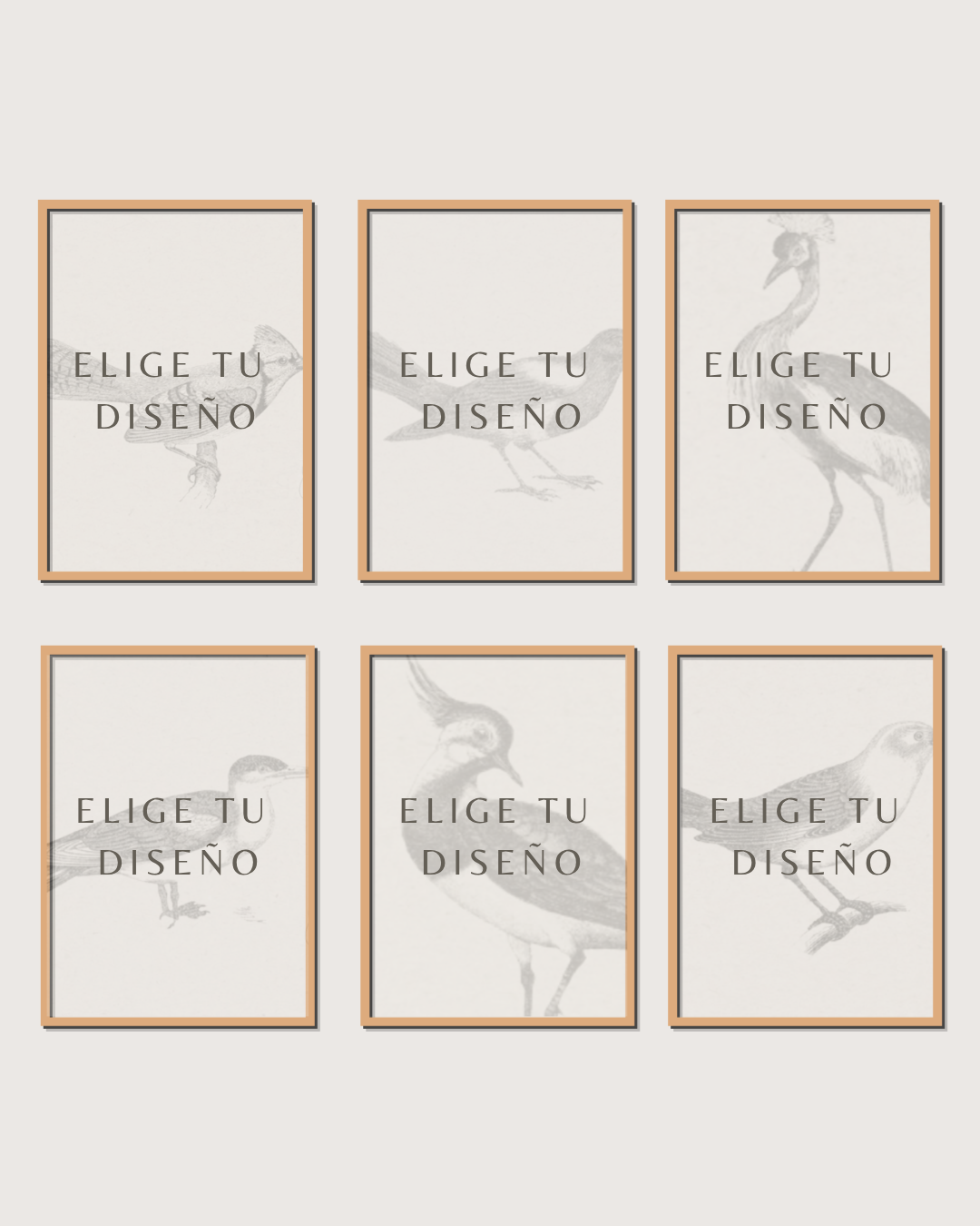 Set 6 Cuadros Mix Diseño Mono & Print