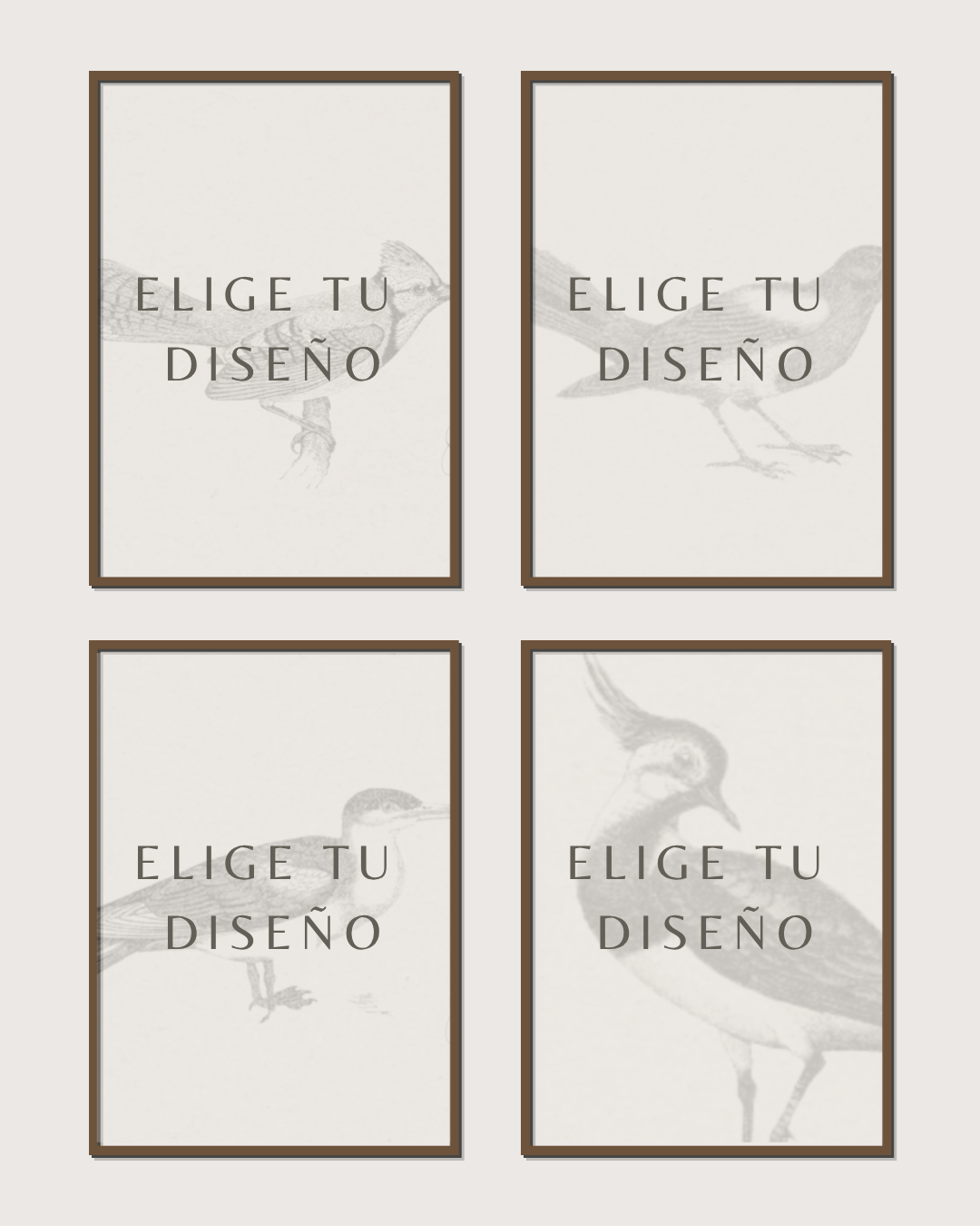 Set 4 Cuadros Mono