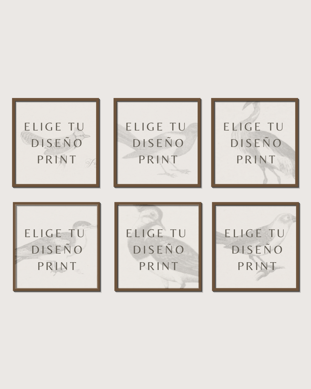 Set 6 Cuadros Diseño Print