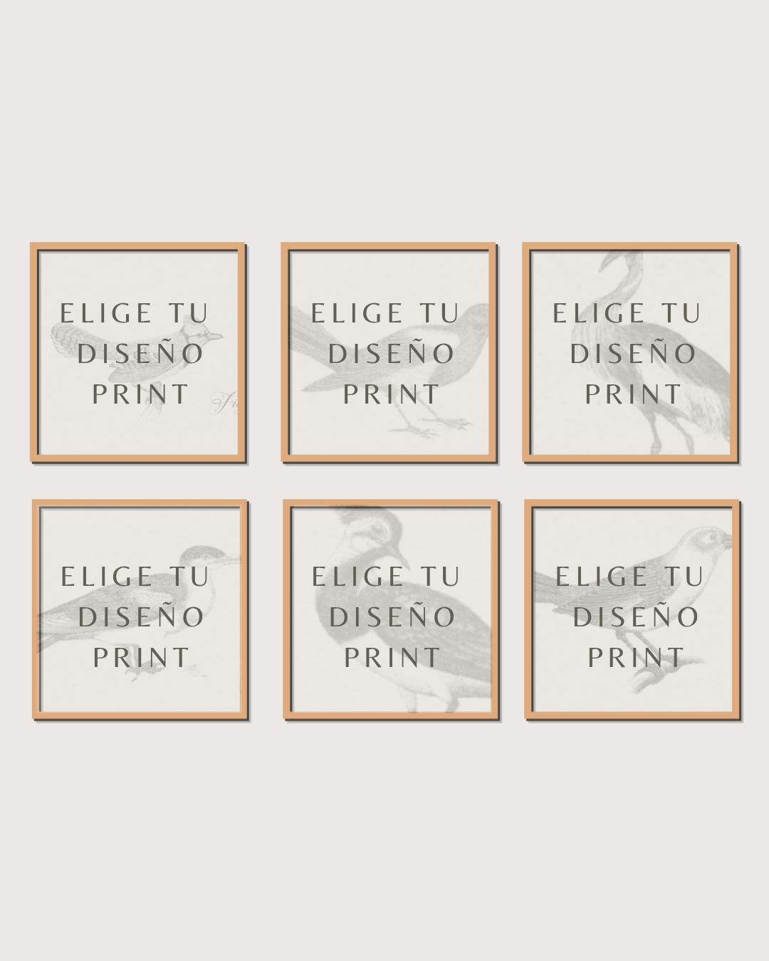 Set 6 Cuadros Diseño Print