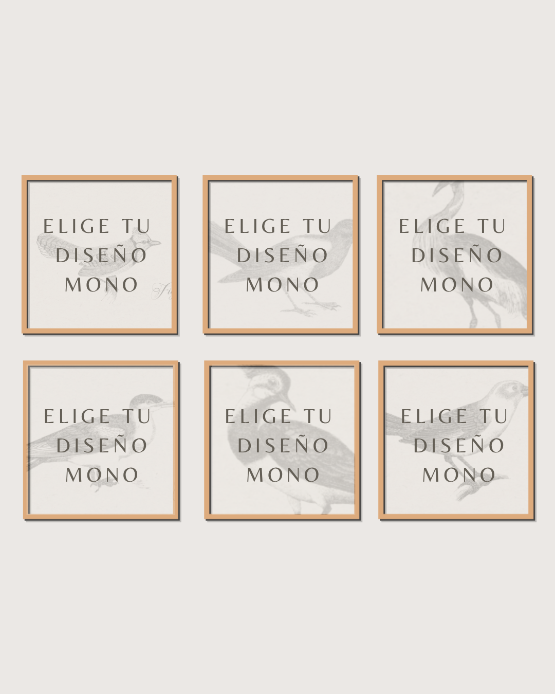 Set 6 Cuadros Diseño Mono