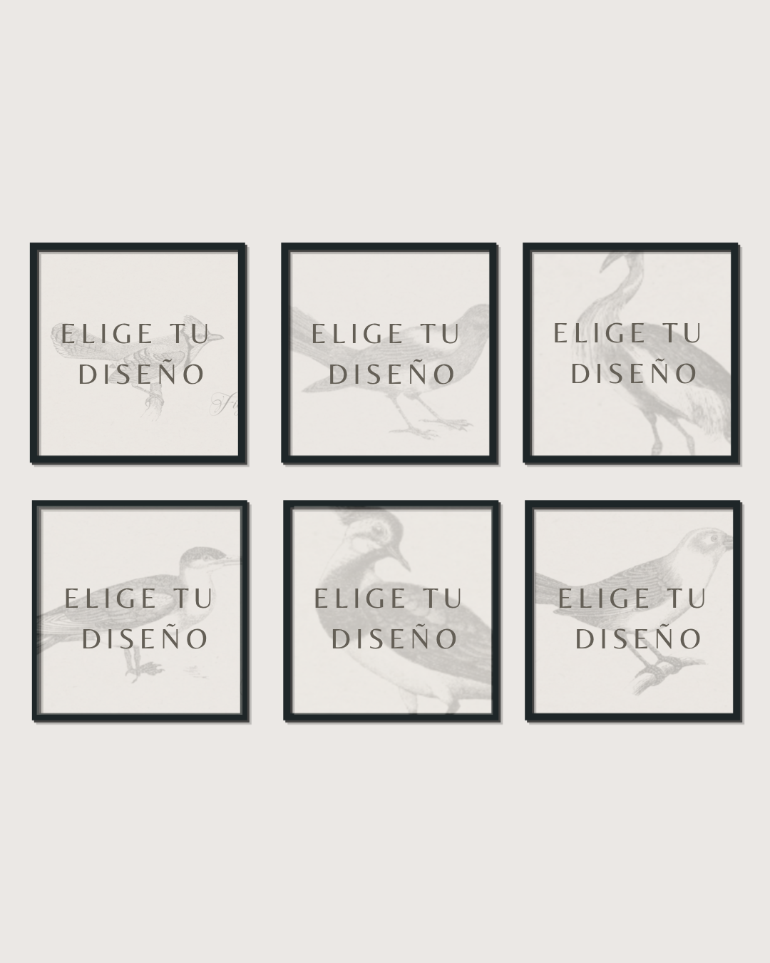 Set 6 Cuadros Mix Diseño Mono & Print