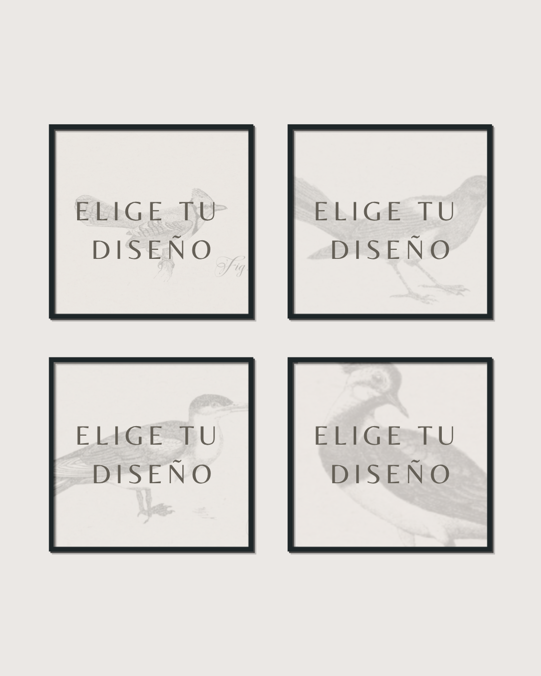 Set 4 Cuadros Mix Diseño Mono & Print