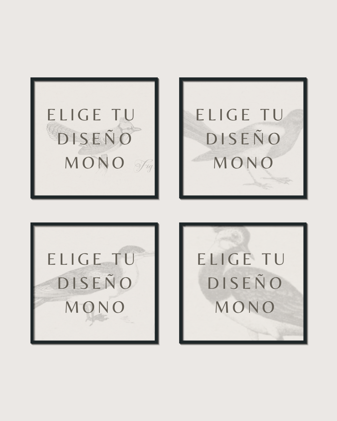 Set 4 Cuadros Diseño Mono