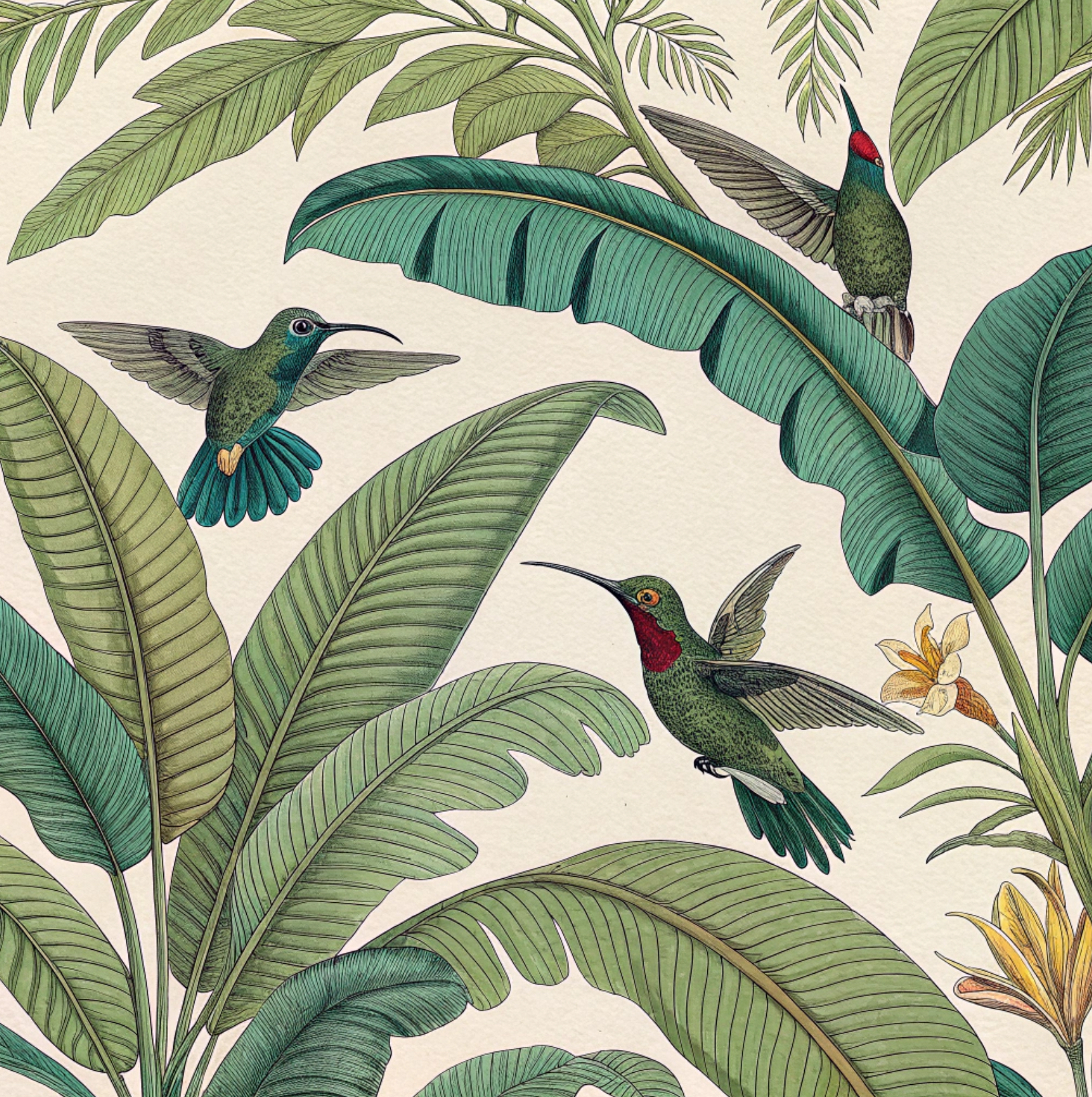 Funda Danza del Colibrí IV