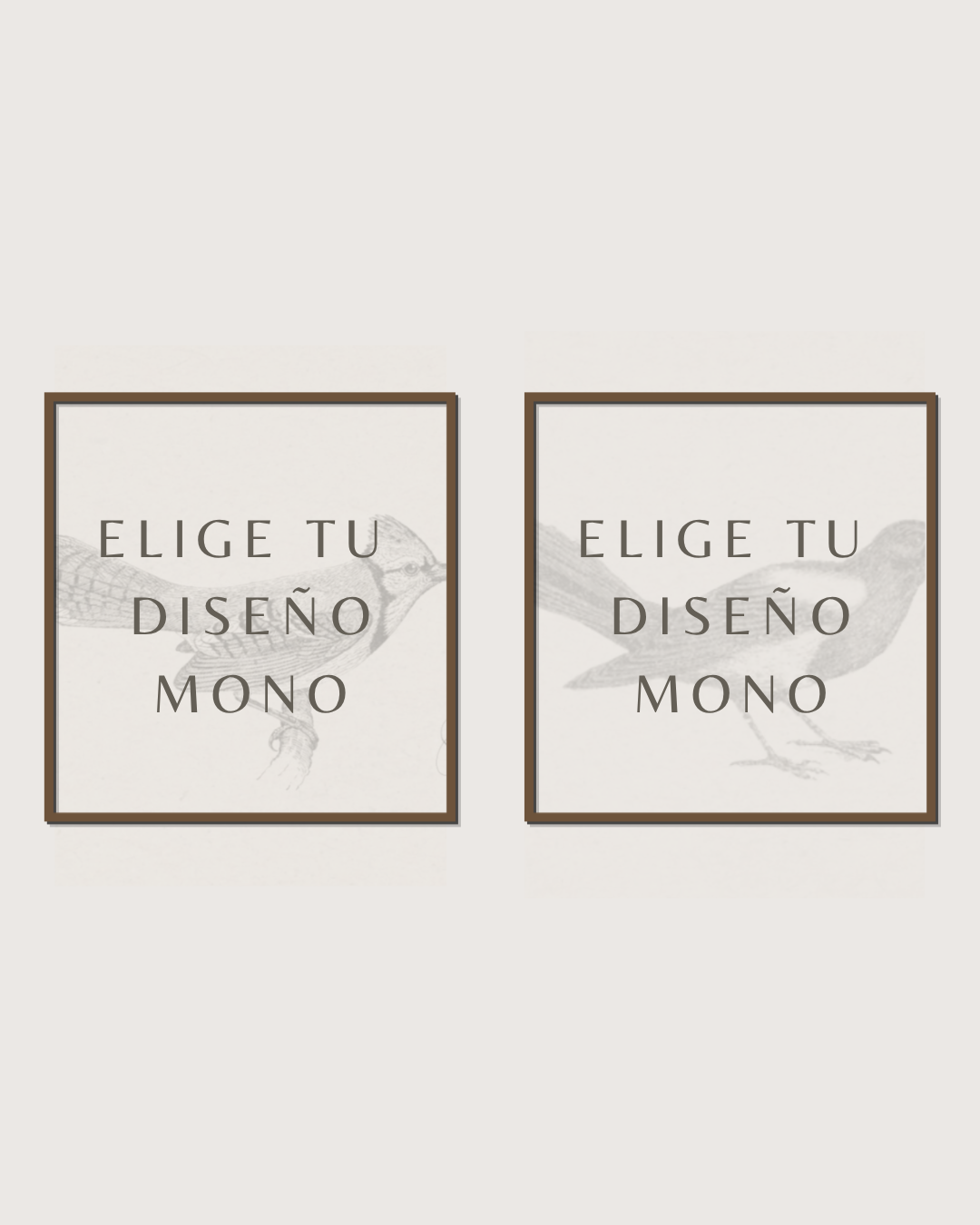 Set 2 Cuadros Diseño Mono