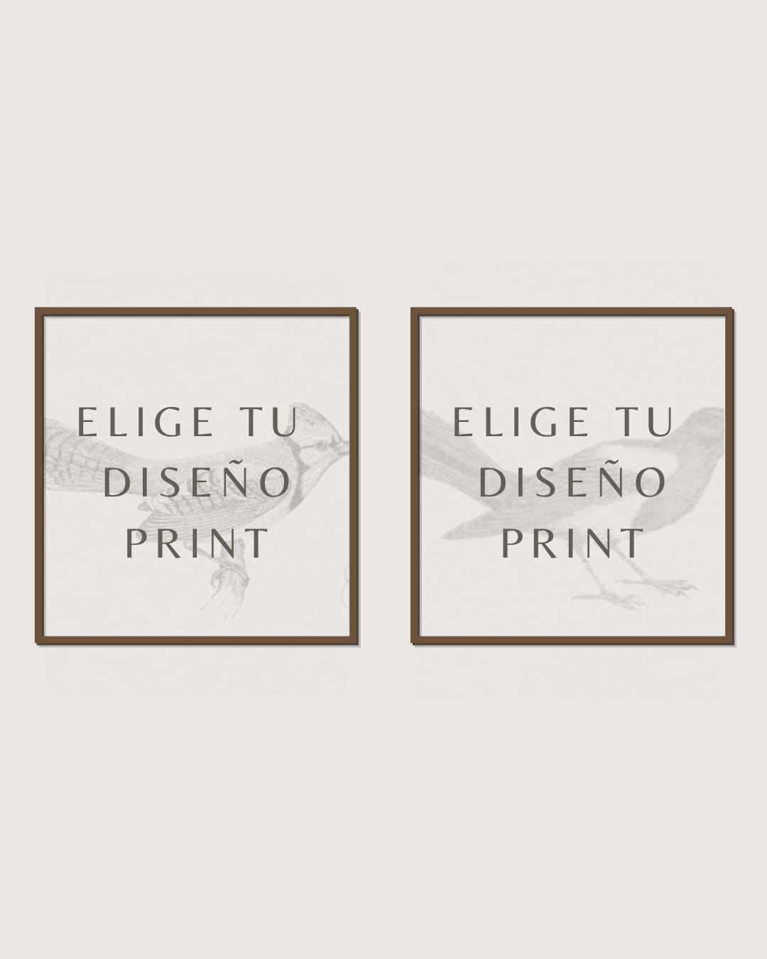 Set 2 Cuadros Diseño Print