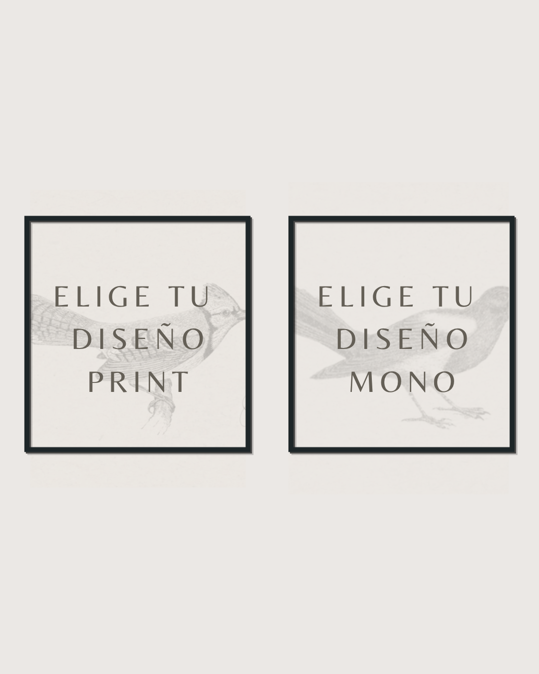 Set 2 Cuadros Mix Diseño Mono & Print