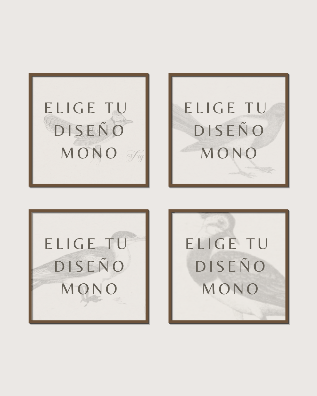 Set 4 Cuadros Diseño Mono