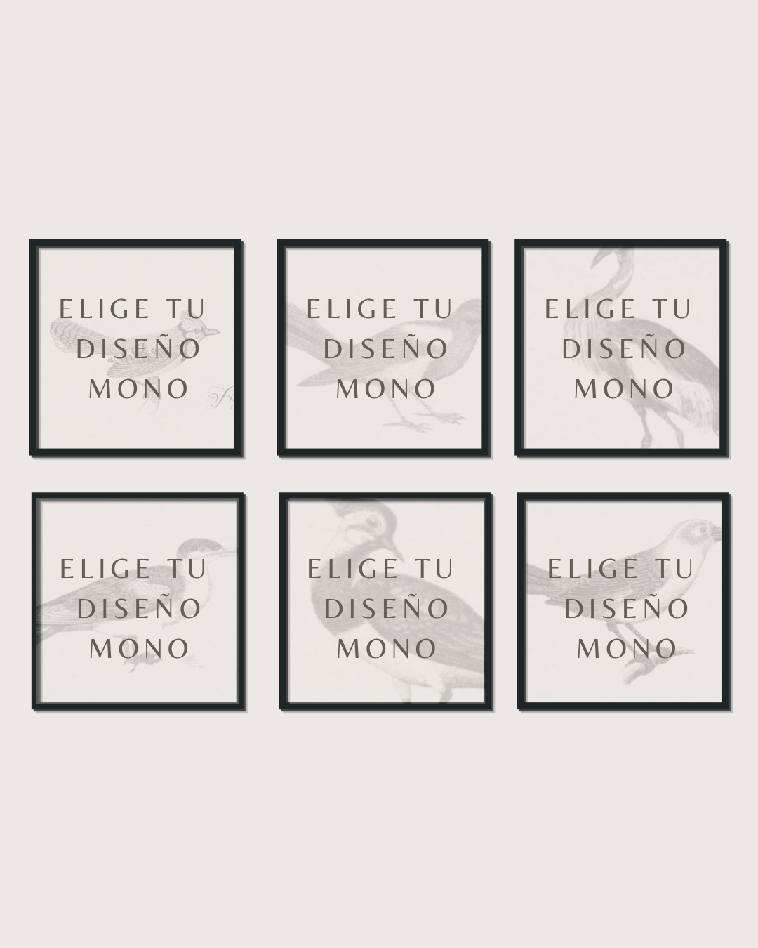 Set 6 Cuadros Diseño Mono