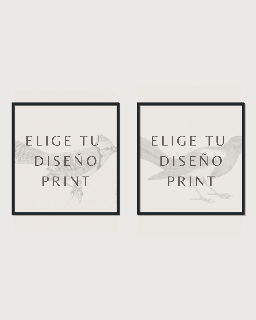 Set 2 Cuadros Diseño Print