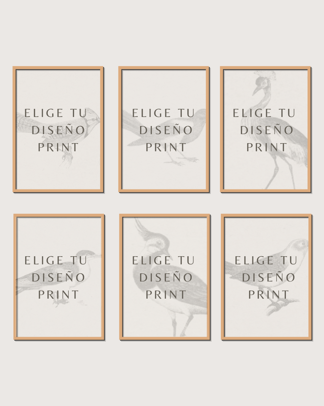 Set 6 Cuadros Diseño Print