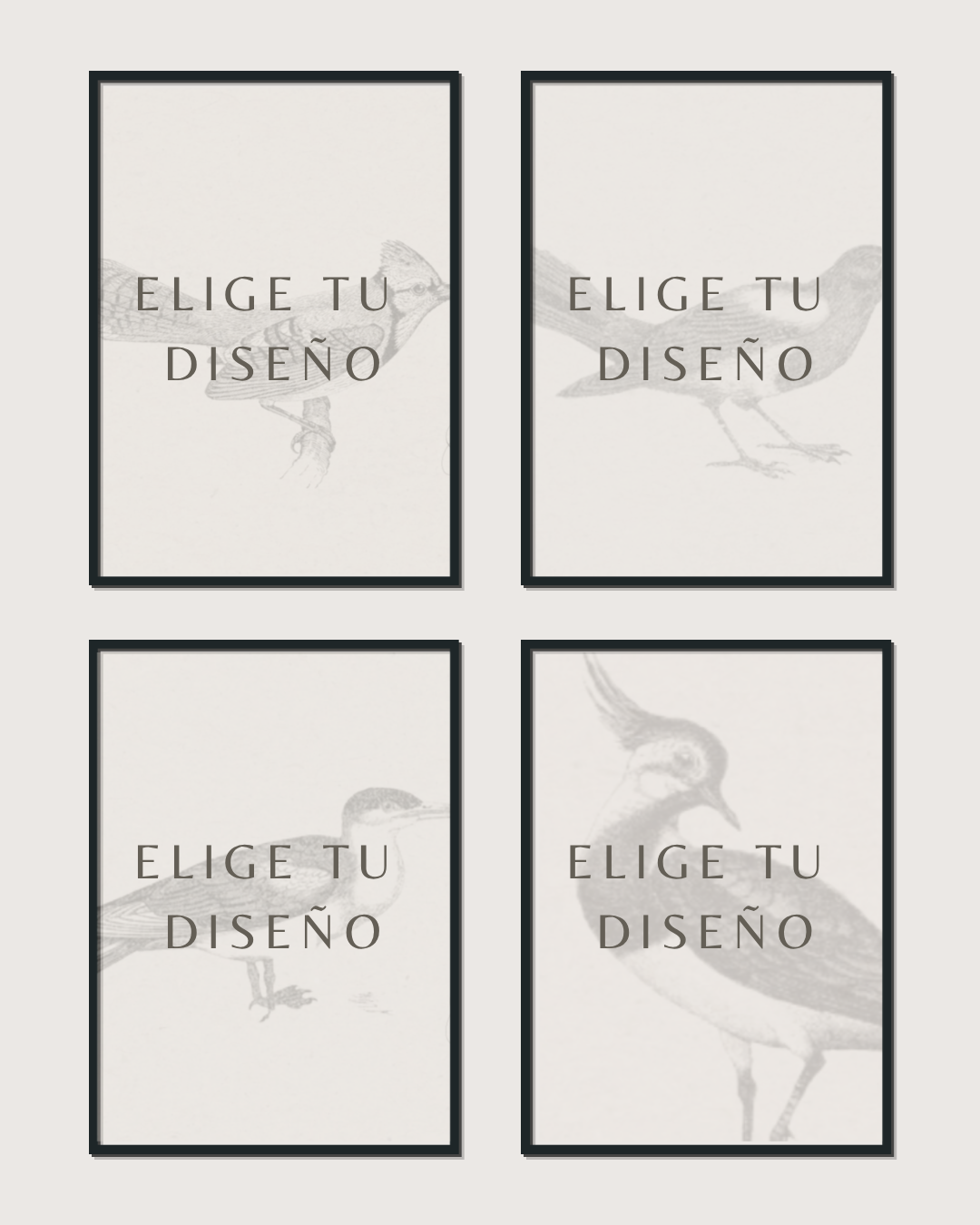 Set 4 Cuadros Mono