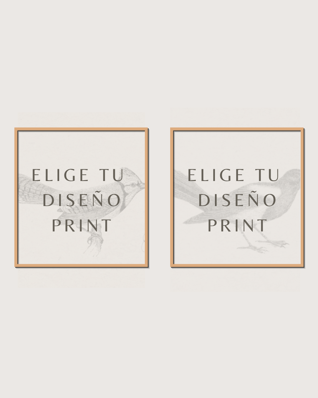 Set 2 Cuadros Diseño Print
