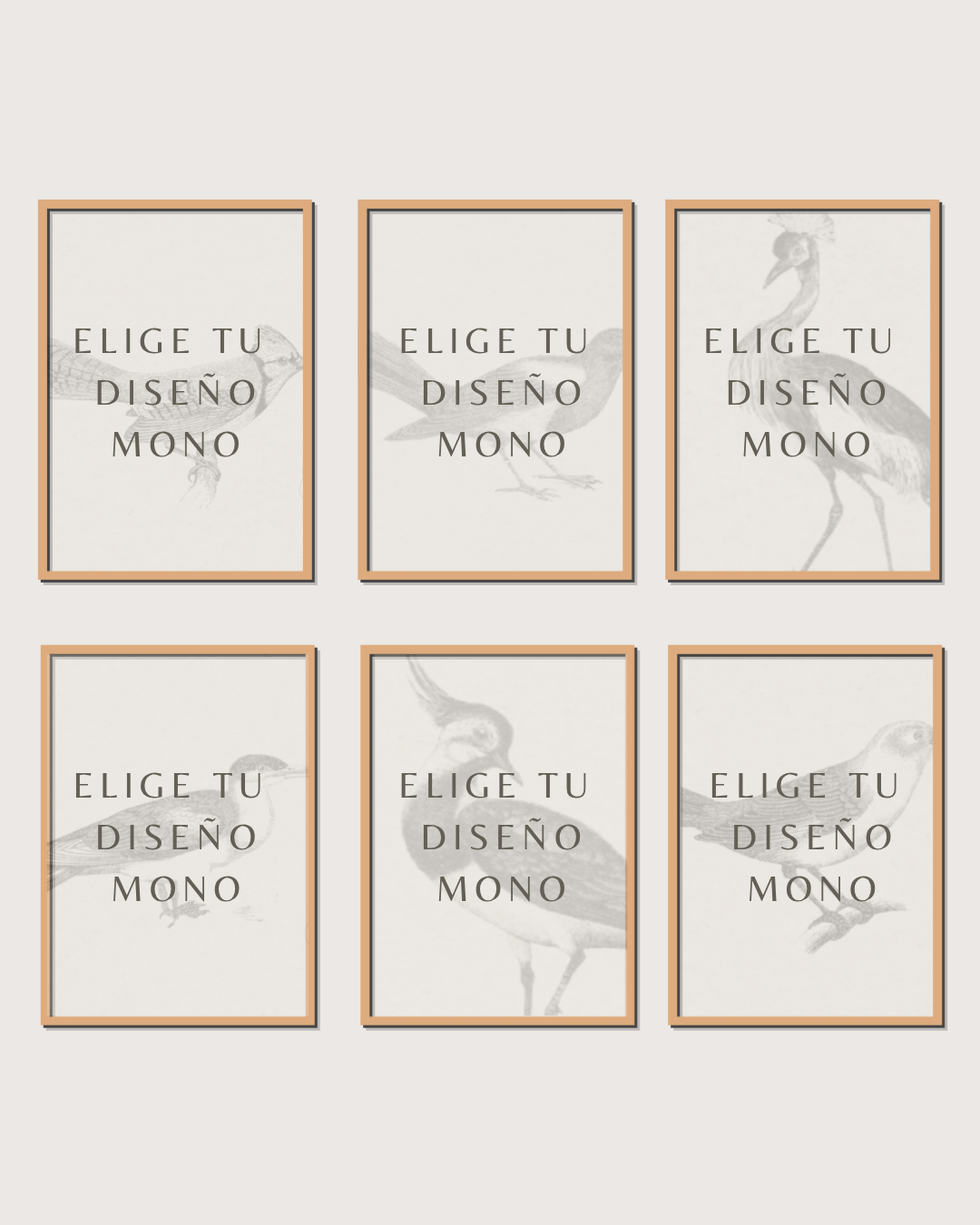Set 6 Cuadros Diseño Mono