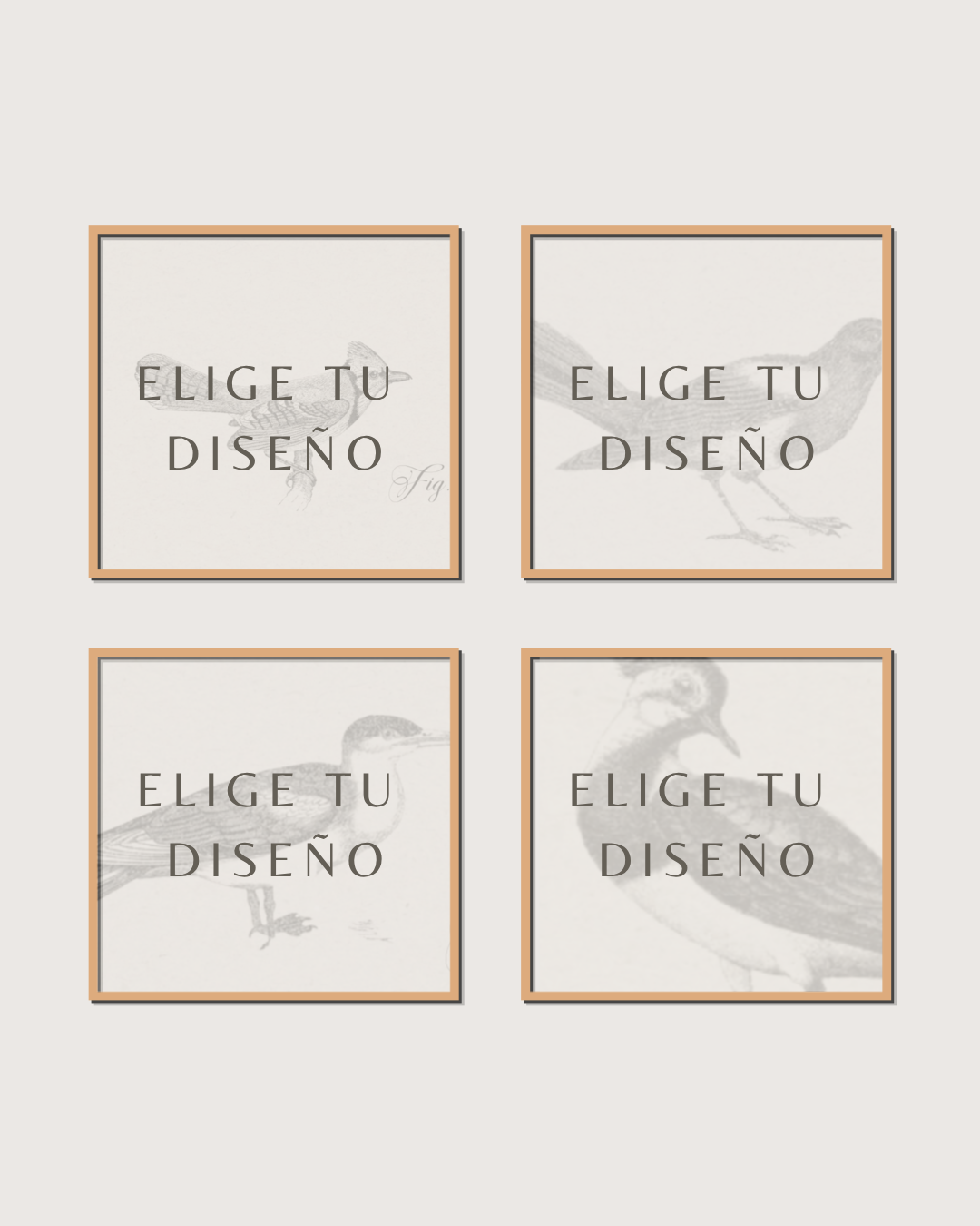 Set 4 Cuadros Mix Diseño Mono & Print