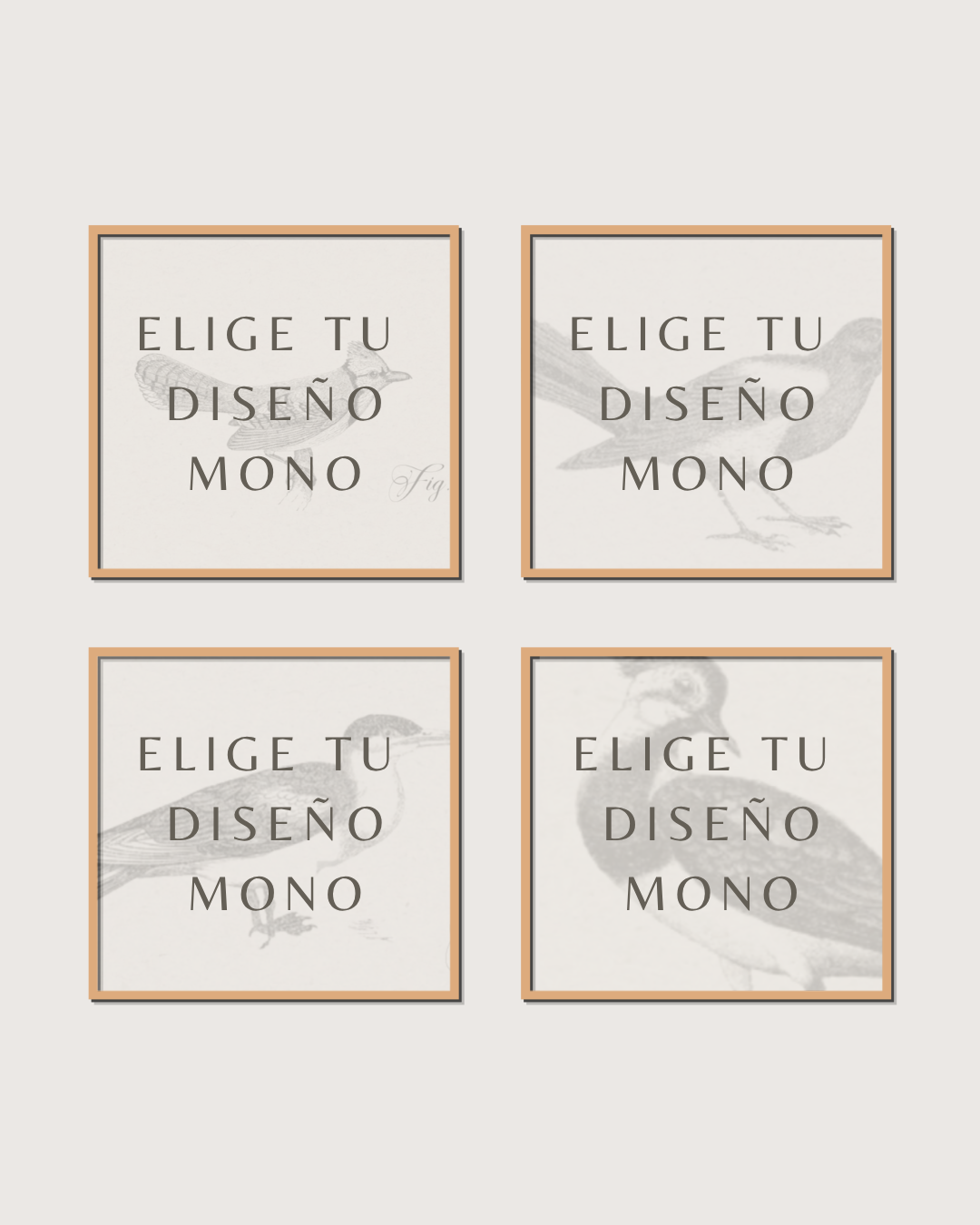 Set 4 Cuadros Diseño Mono
