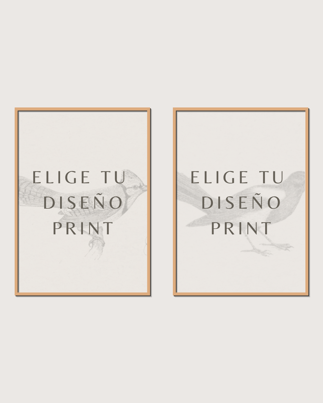 Set 2 Cuadros Diseño Print