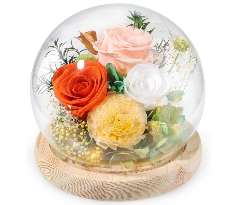 Gifts for Women Preserved Real Flowers Eternal Rose in Glass Dome with LED Light, Long-Lasting Forever Flowers Roses Womens Gifts for Christmas Birthday Gifts for Mom Grandma Wife Kids