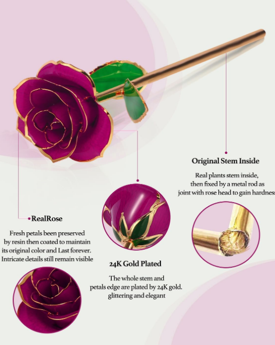 24K Gold Plated Purple Rose,Forever Preserved Artificial Rose Flowers, Eternal Long Stem Purple Rose Flowers with Transparent Stand, Gifts for Girlfriend,Wife,Women, Birthday,Wedding,Christmas