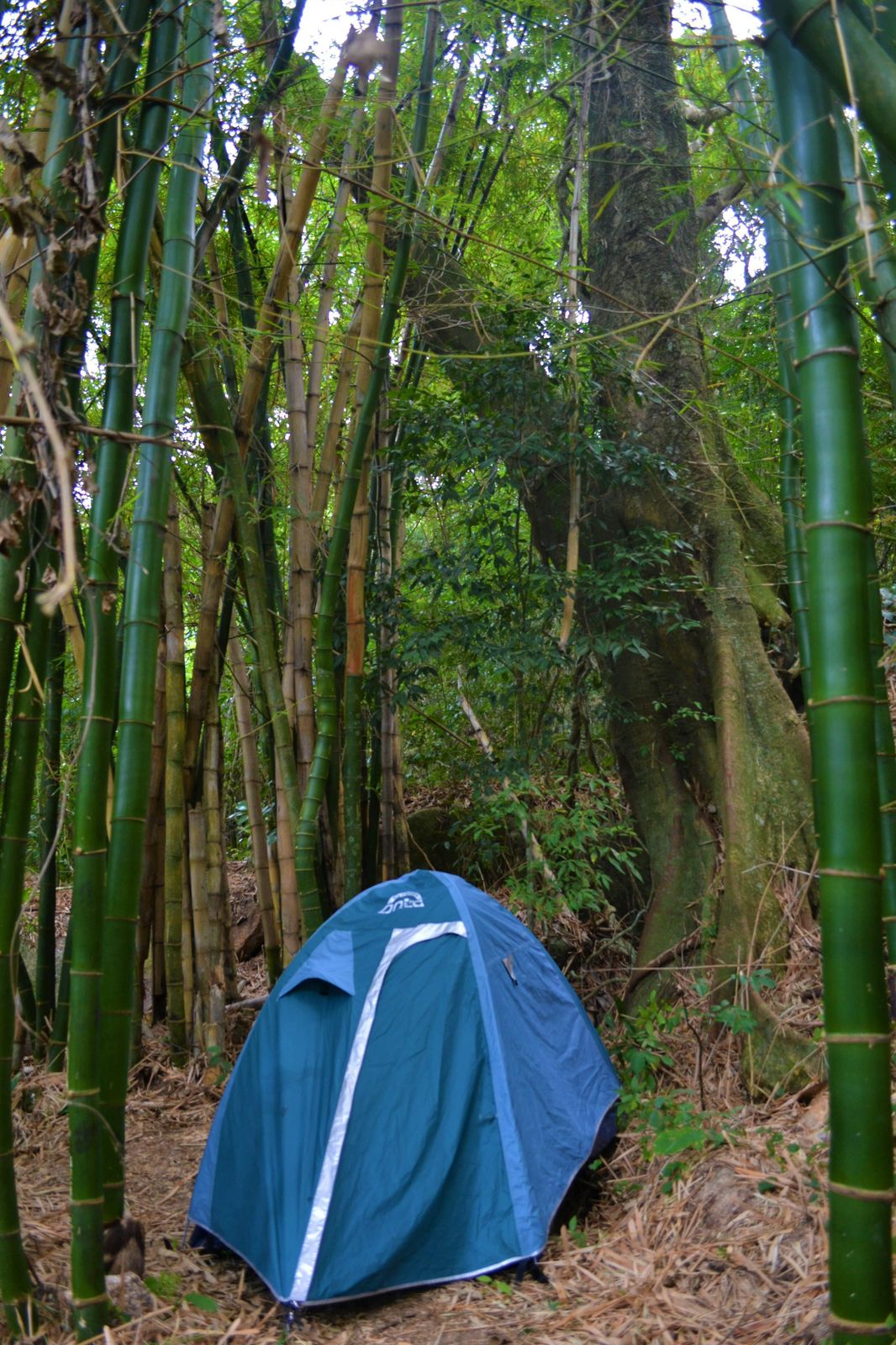 Area de Camping - Diária