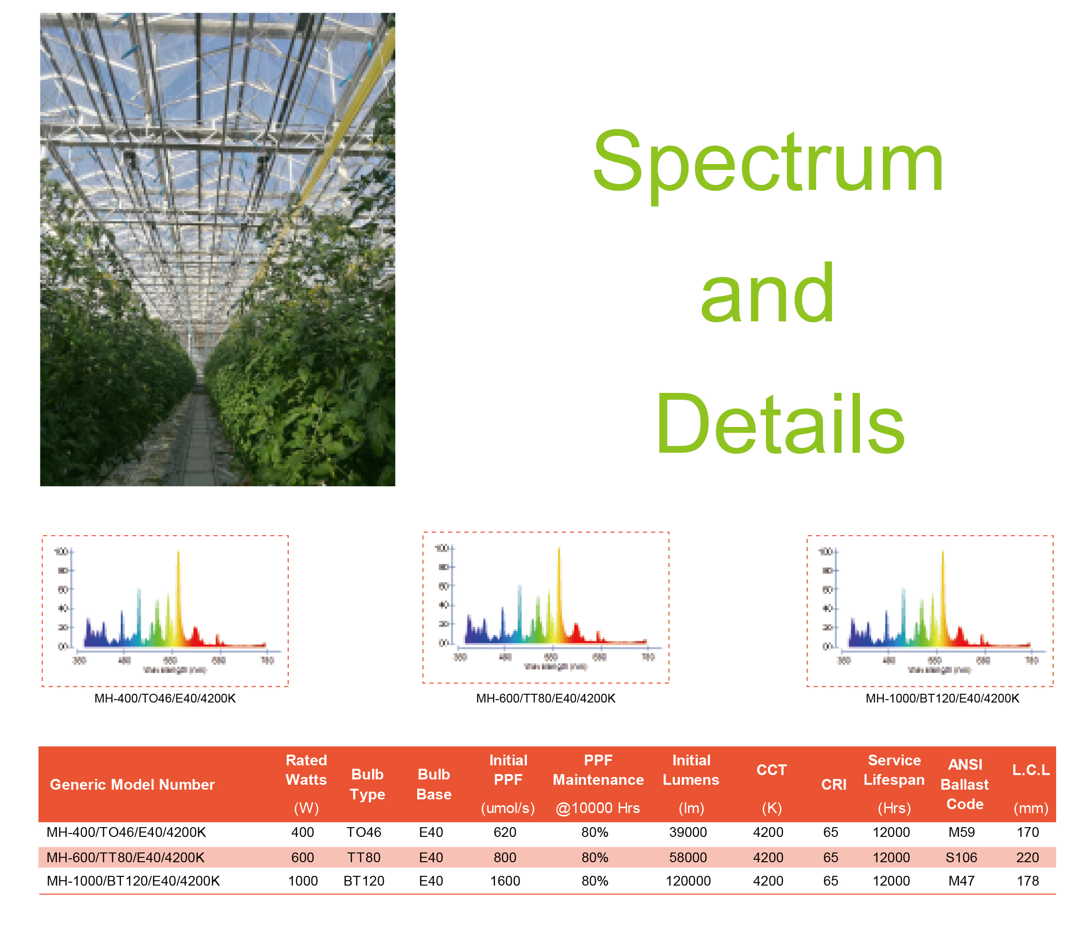Europe Metal Halide Grow Lamps