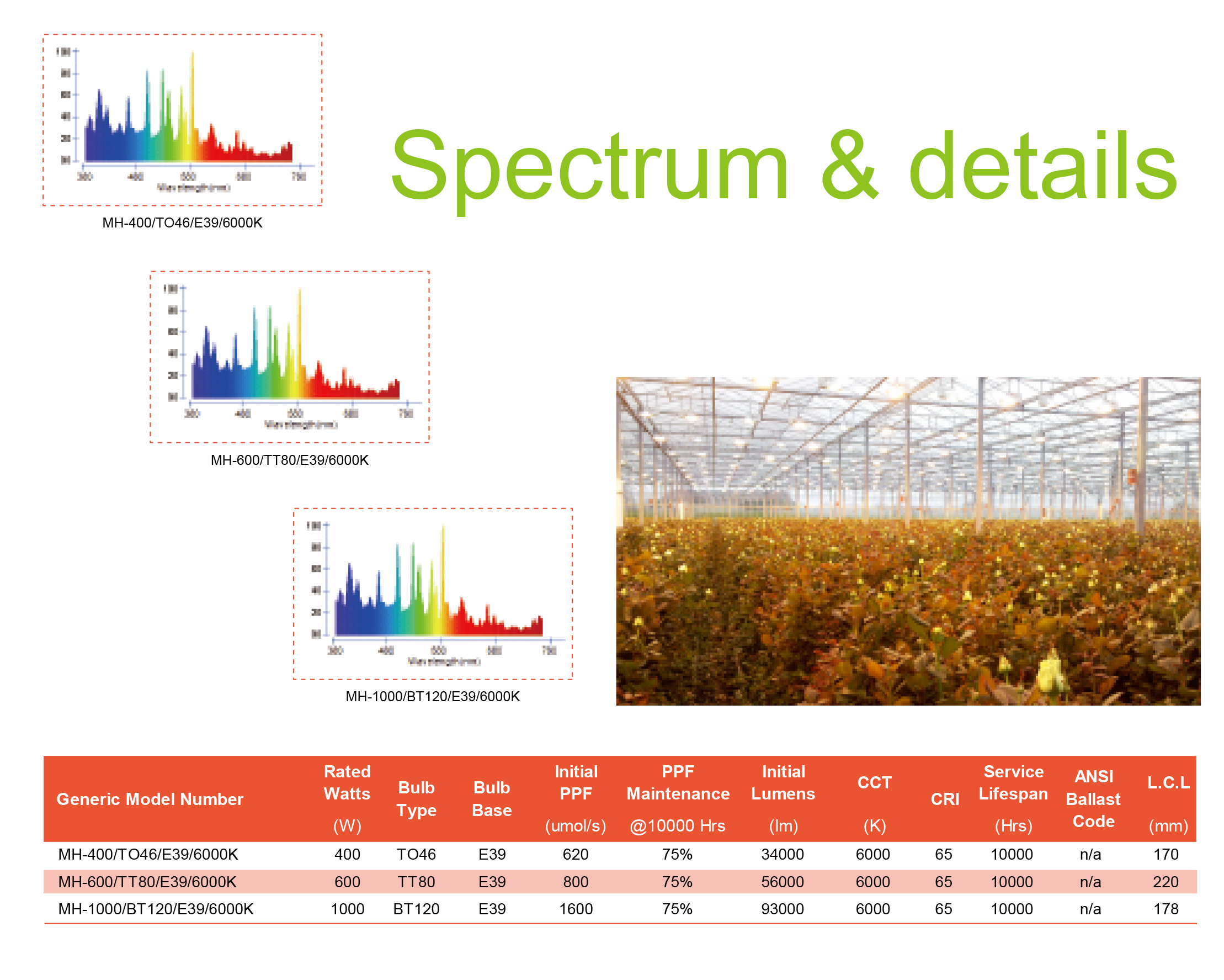 Blue-Enhanced  Metal Halide Grow Light Bulbs, North America