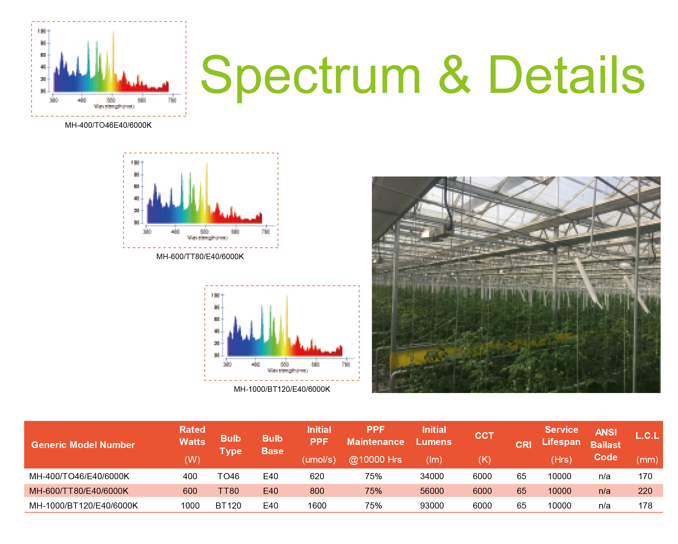 Blue-Enhanced Metal Halide Grow Lamps, Europe