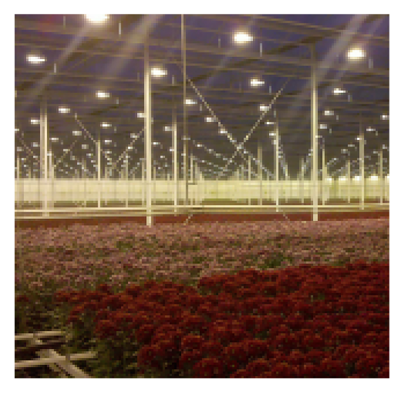 FCMH-945DW Dual-Watt Ceramic Metal Halide Fixture