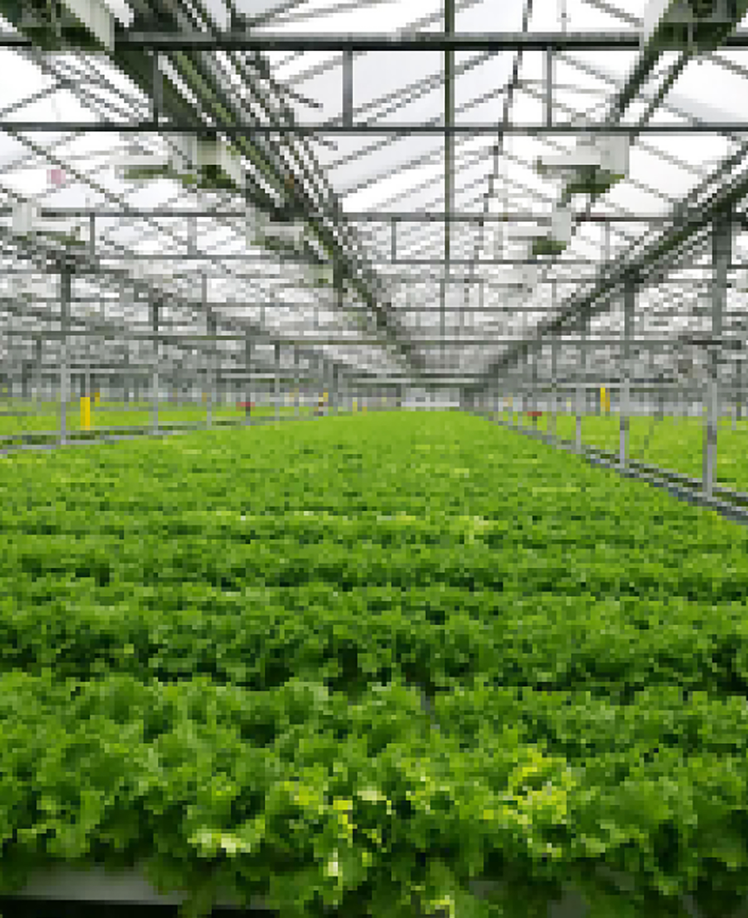 FCMH-315SL Ceramic Metal Halide Fixture