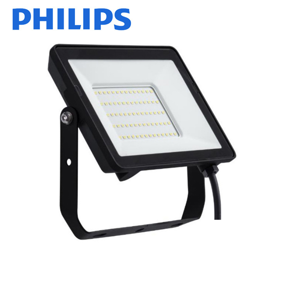 PHILIPS BVP150 LED Floodlight
