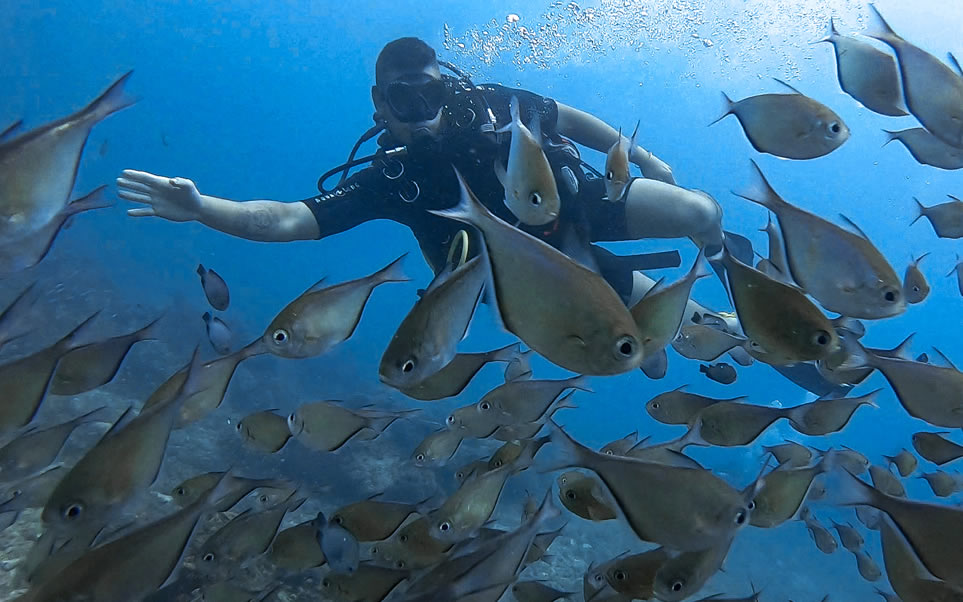 SSI Divemaster Course