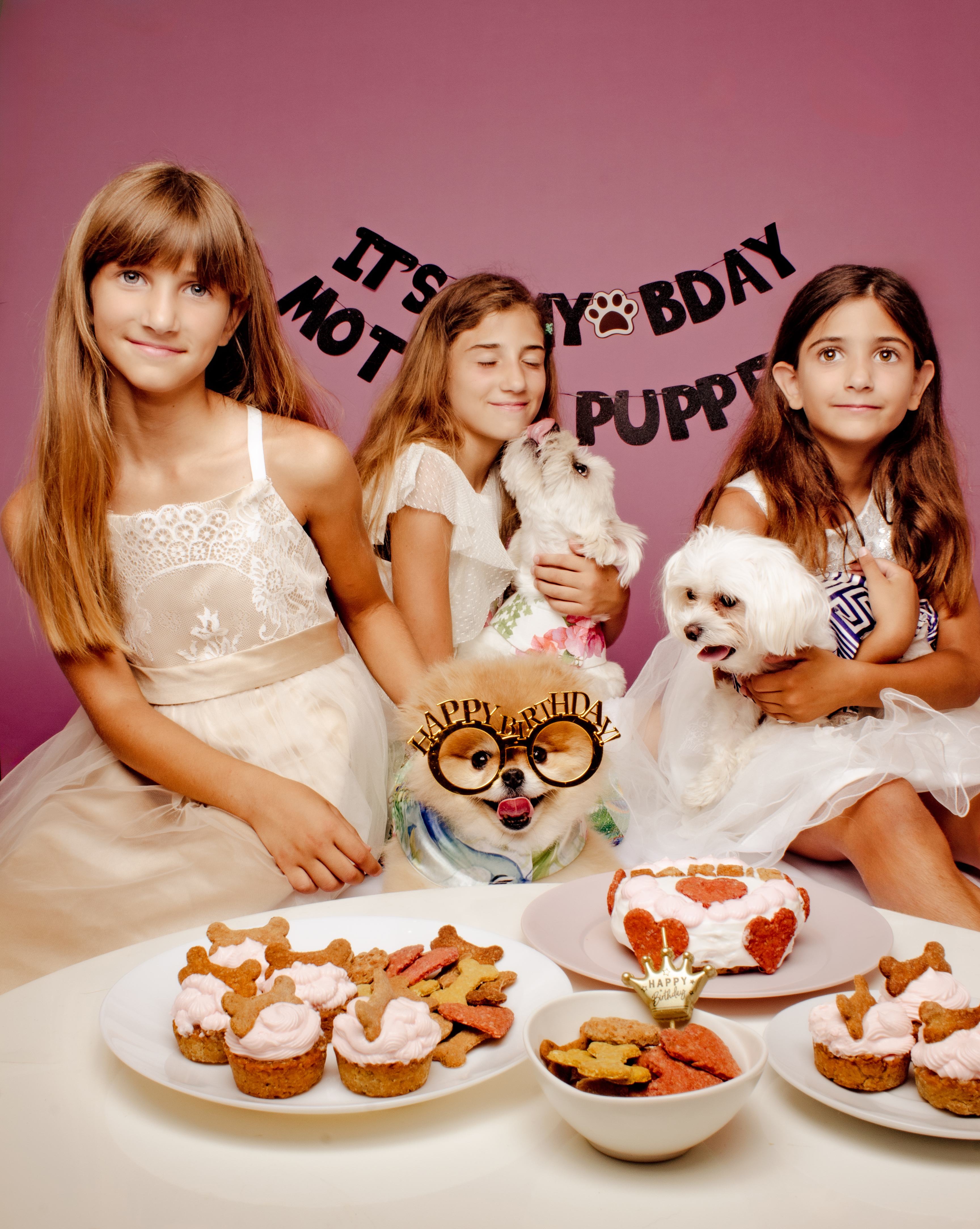 Γιόρτασε τα γενέθλια του τετράποδου φίλου σου στο Studio Yuki pet photography 