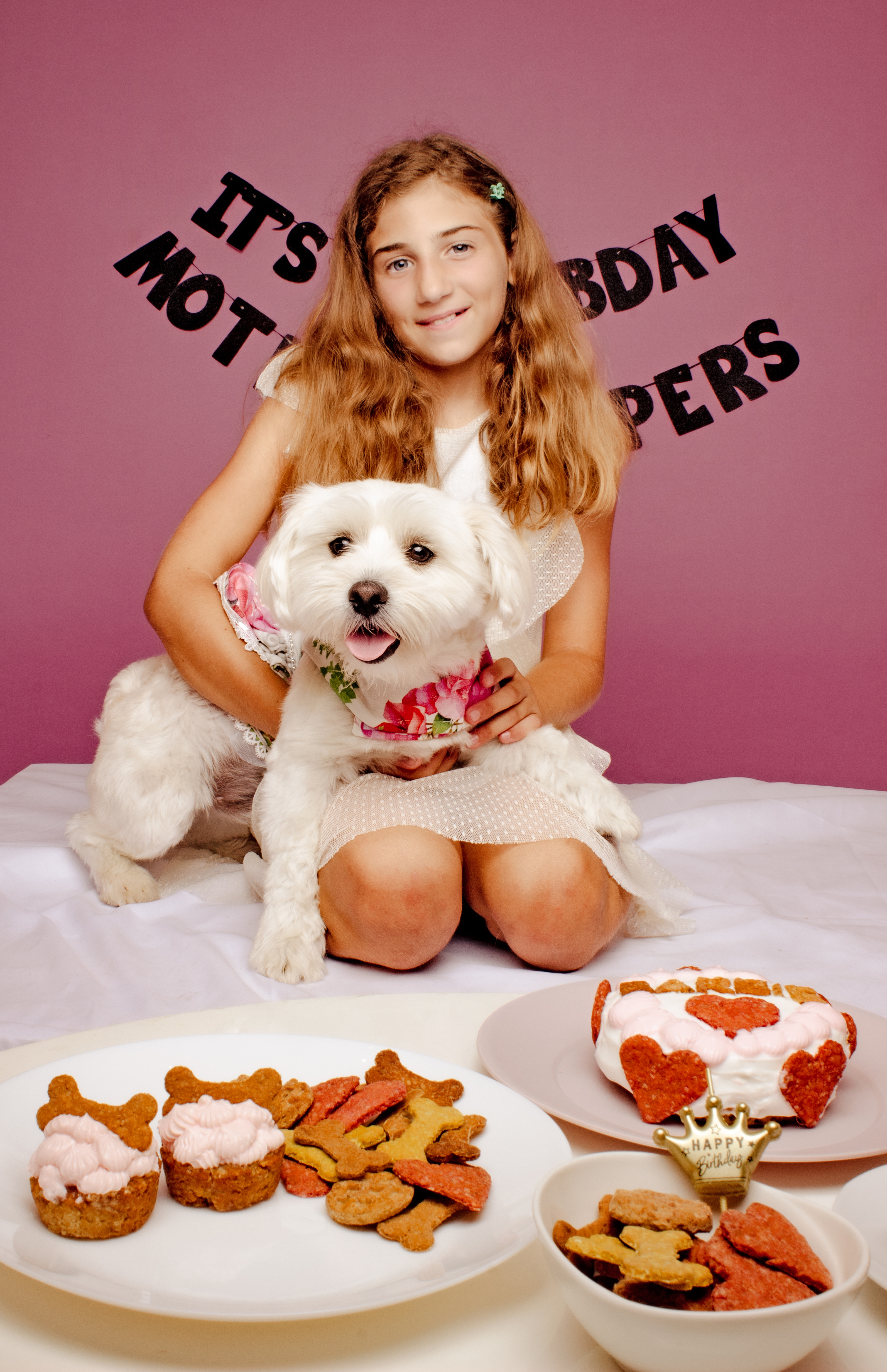 Γιόρτασε τα γενέθλια του τετράποδου φίλου σου στο Studio Yuki pet photography 