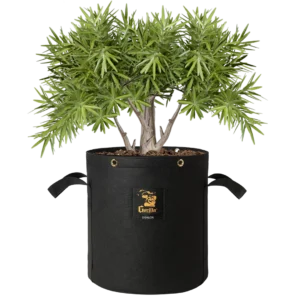 Gorilla Grow Bag 