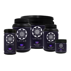 Lotus Boost Supplements