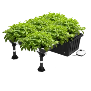 Super Flow Hydroponic Grow System