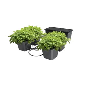 Bubble Flow Buckets Hydroponic Grow System