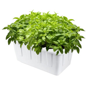 SuperPonics Hydroponic Grow System