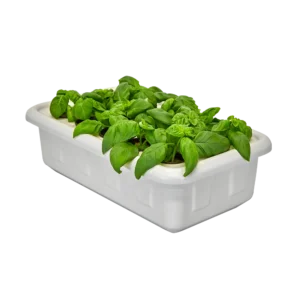 SuperCloner Hydroponic Cloner