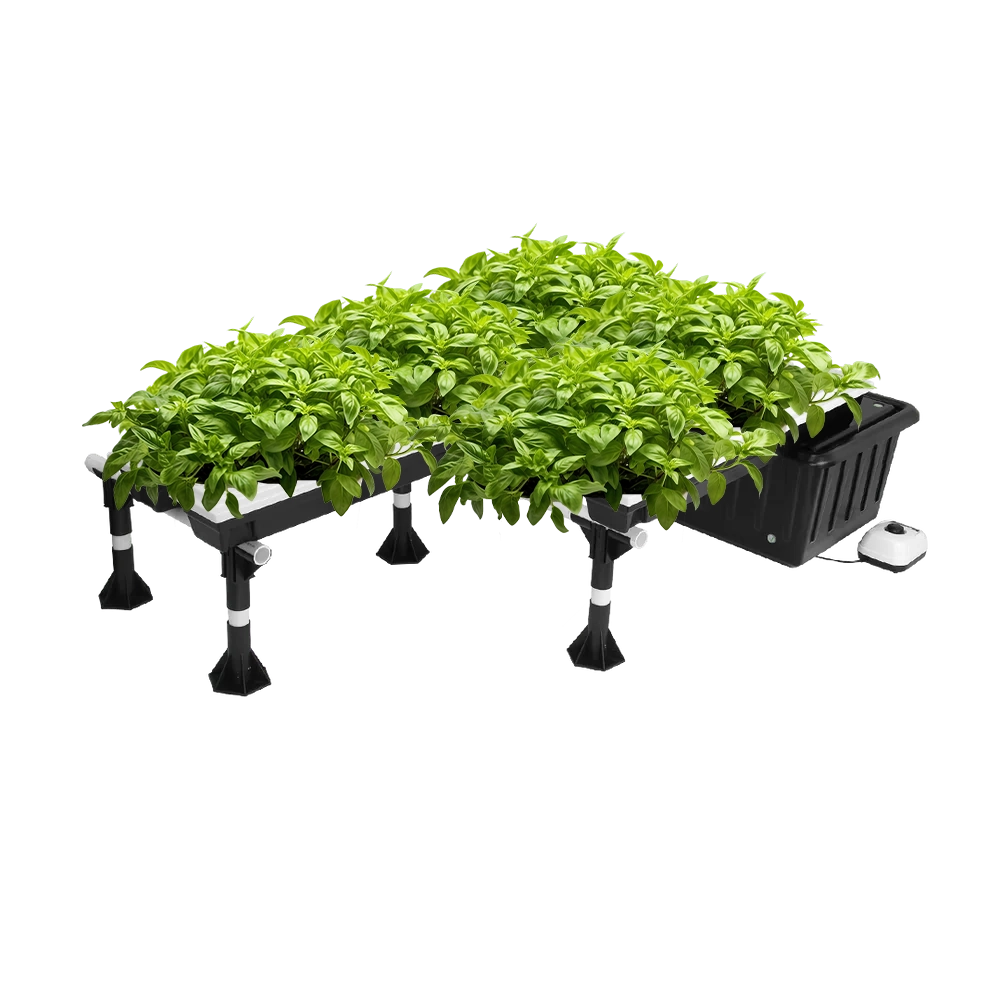 Super Flow Hydroponic Grow System