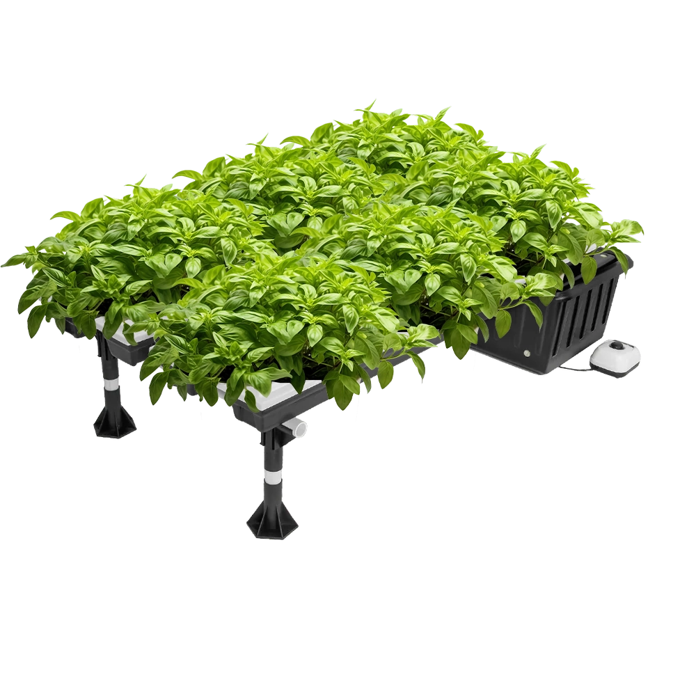 Super Flow Hydroponic Grow System
