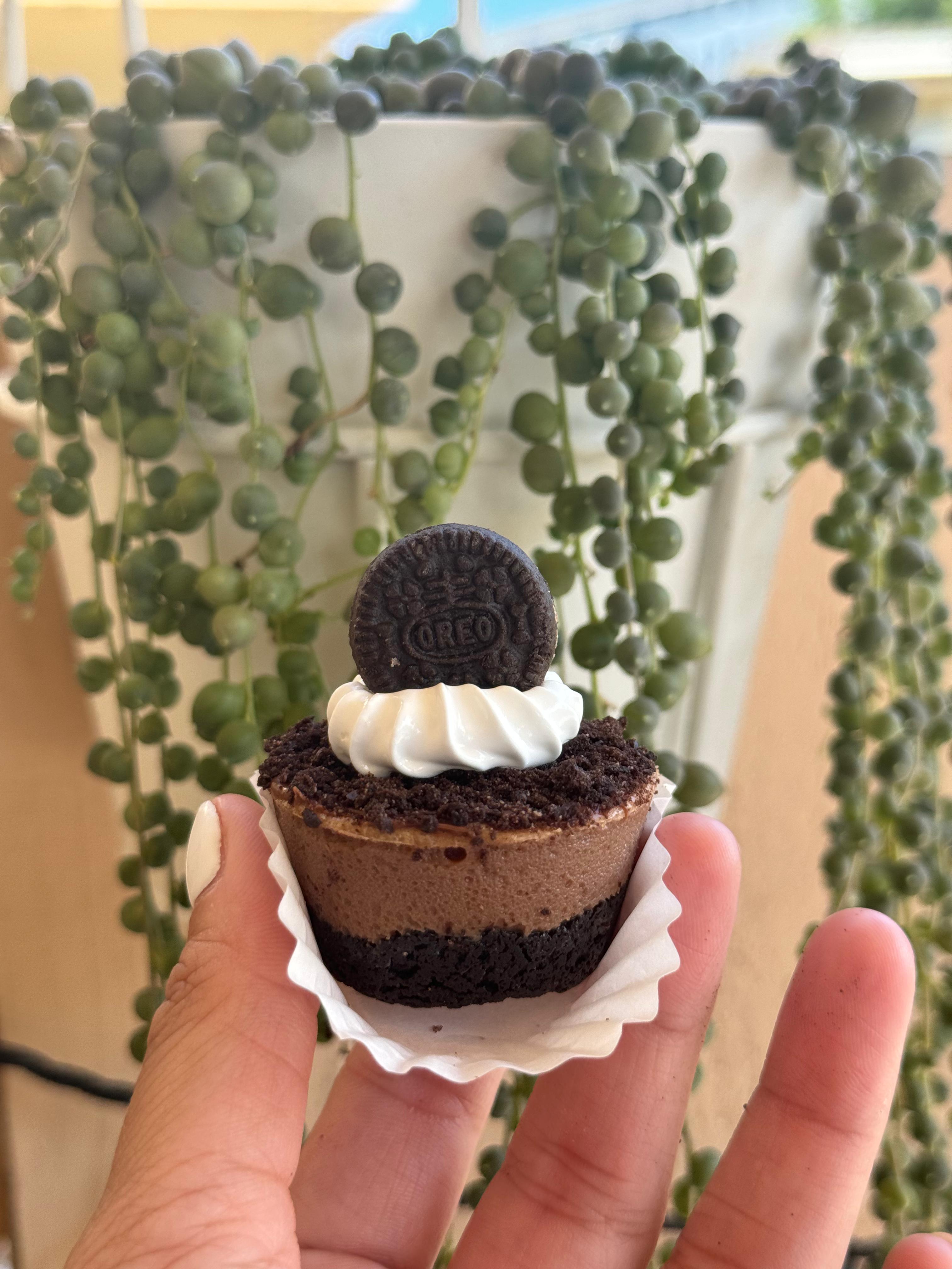 Mini Oreo Cheesecake