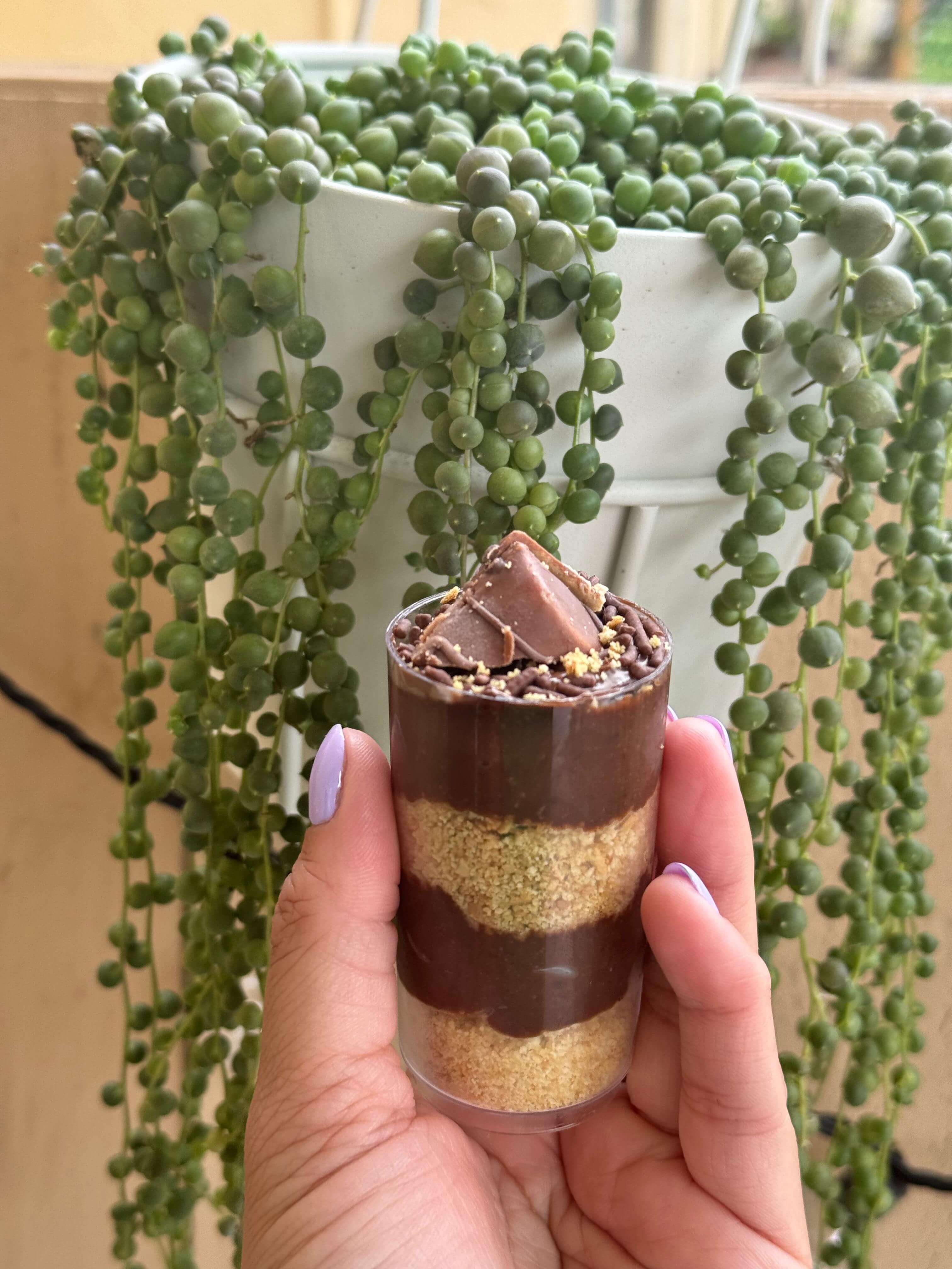 Mini Chocolate Layered Dessert