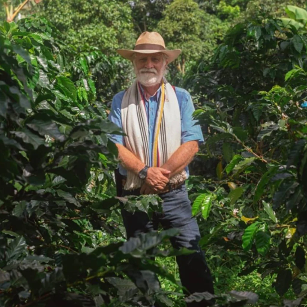 COLOMBIA - PAPAYO OMBLIGON ⁄ CARBONIC MACERATION