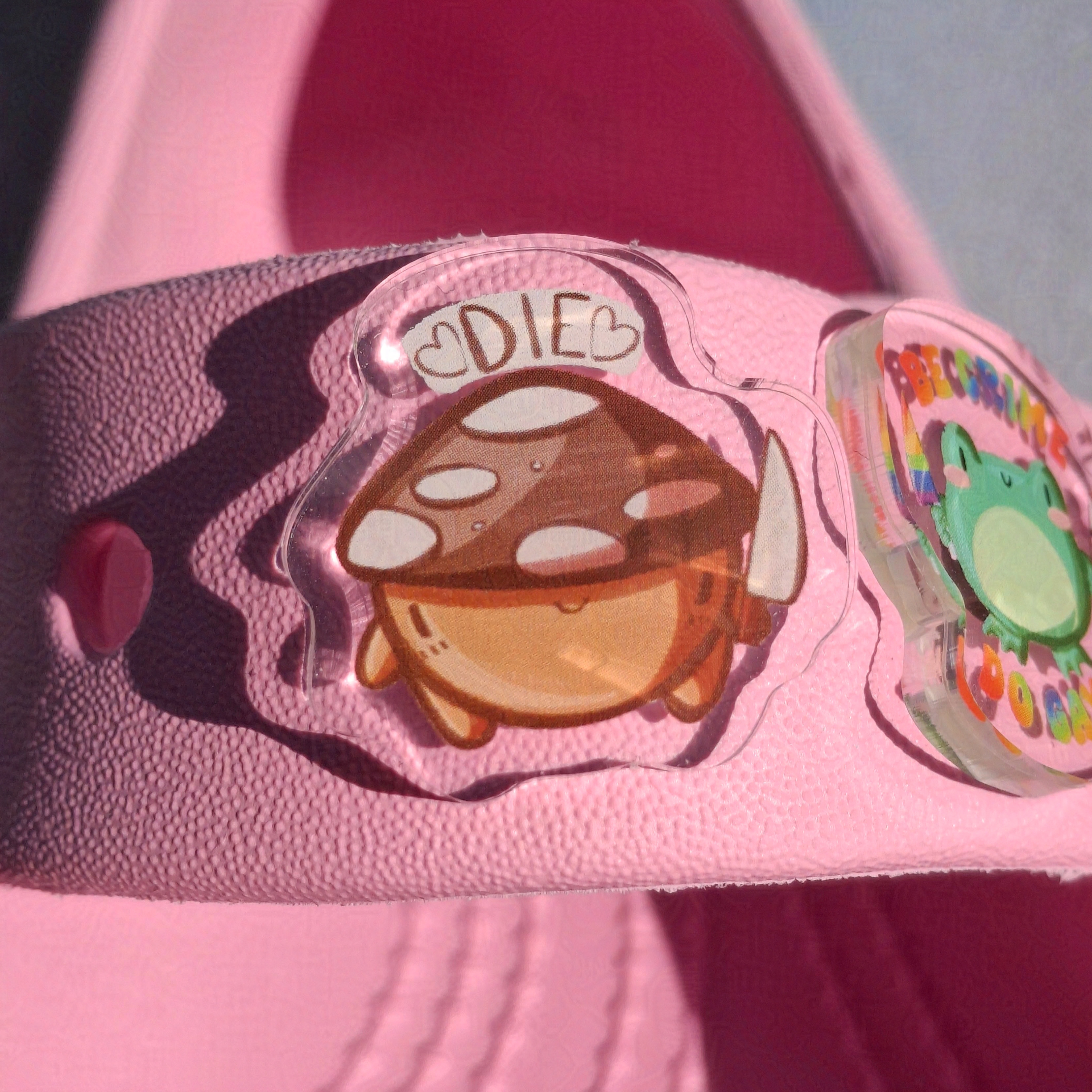 Die - Acrylic Croc Charm