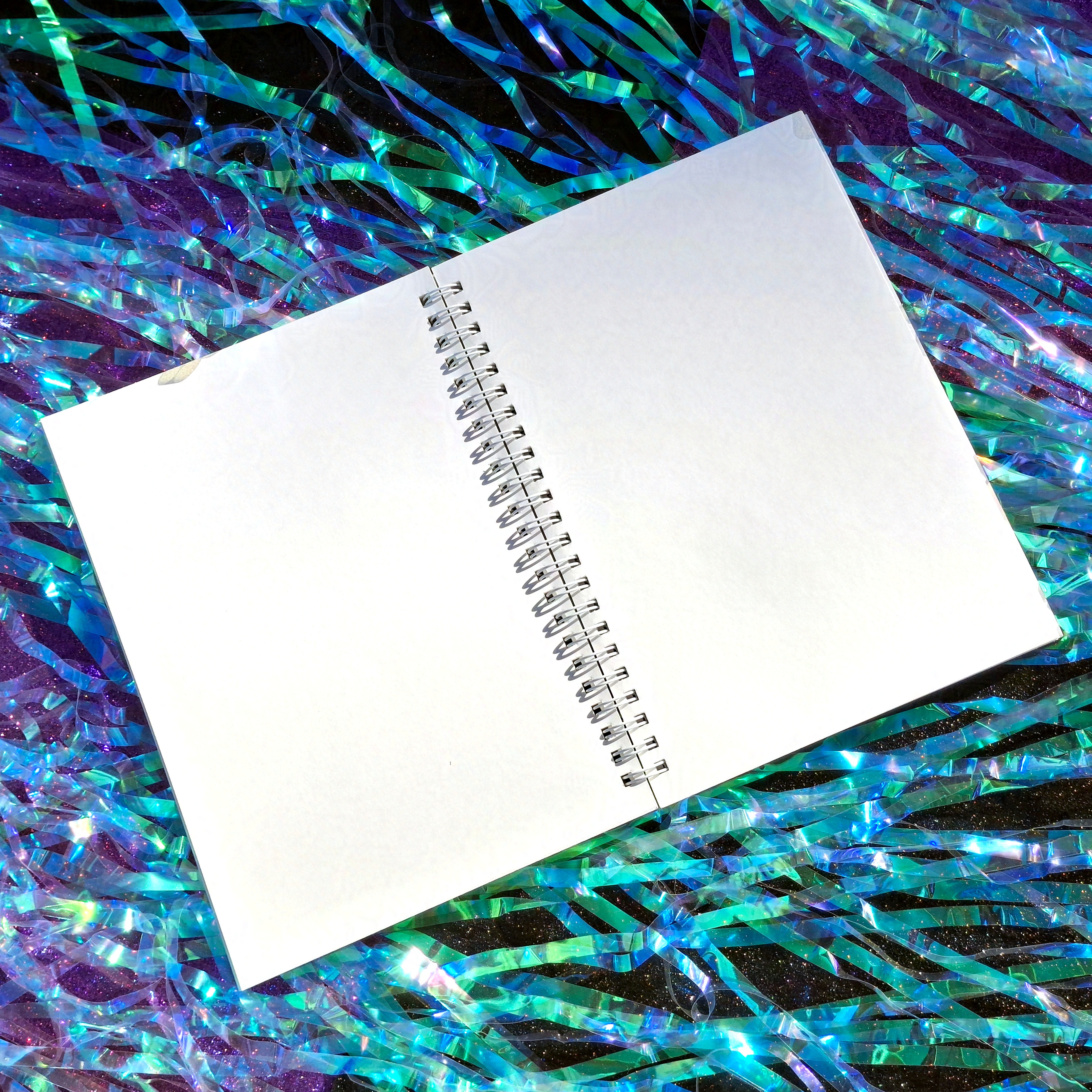 Sapo sopapo - Libreta