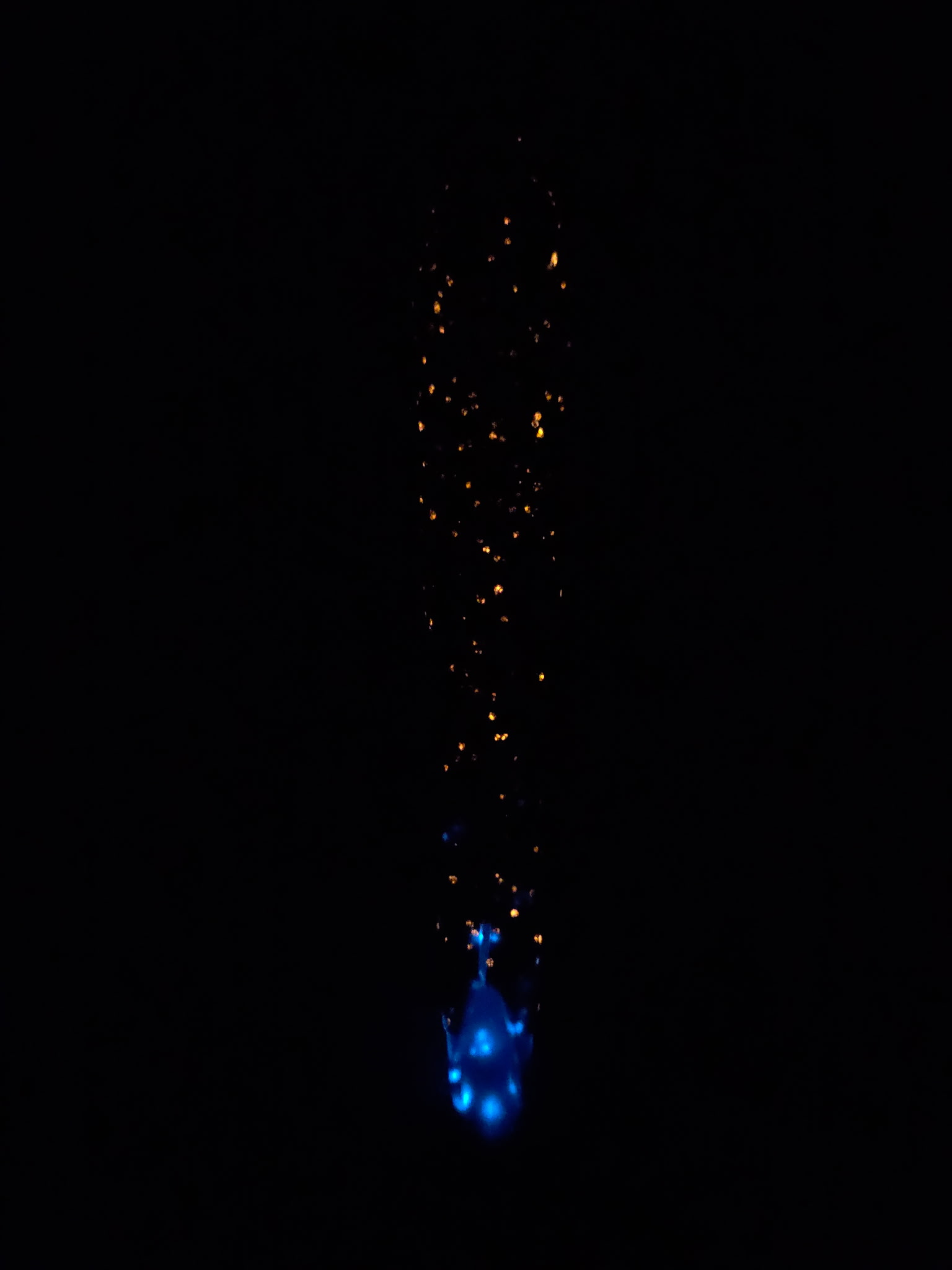 Stoopid Bolt - Fine Print