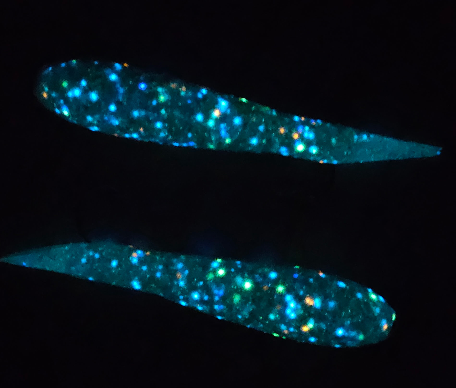 Stoopid Bolt - Alligator Wedding