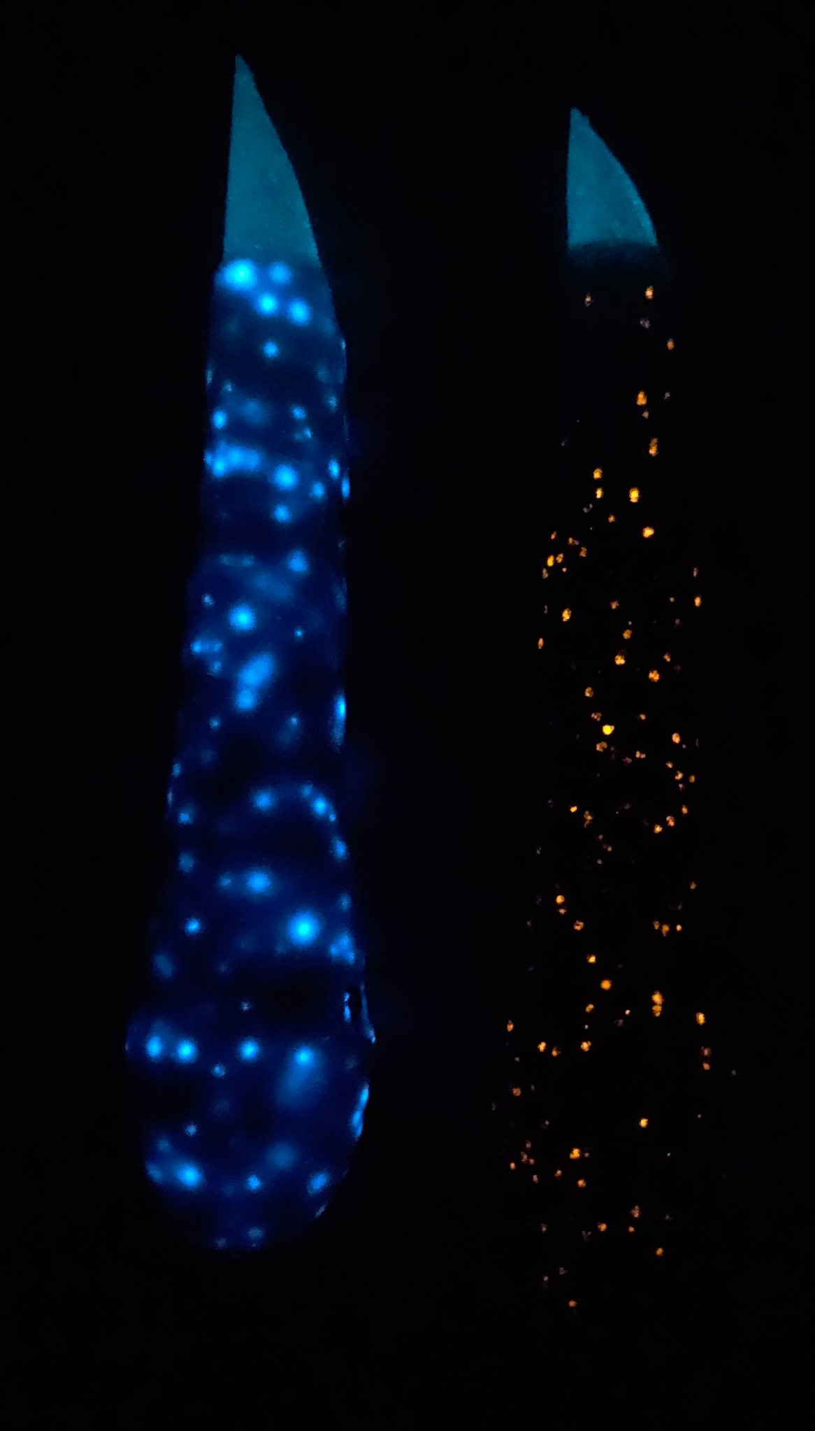 Stoopid Bait -  Gooder vs. Eviler